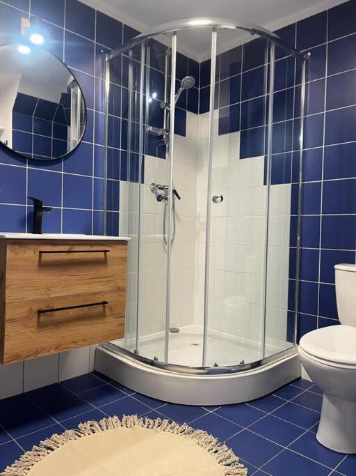 Apartment Soplicy 17